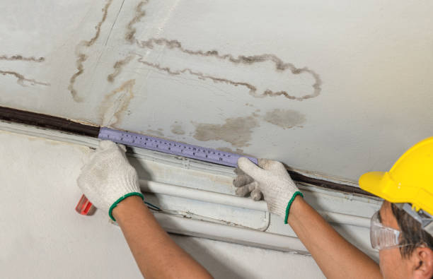 Reliable Burst Pipe Cleanup contractor in Como, CO by Local Water Damage Repair
